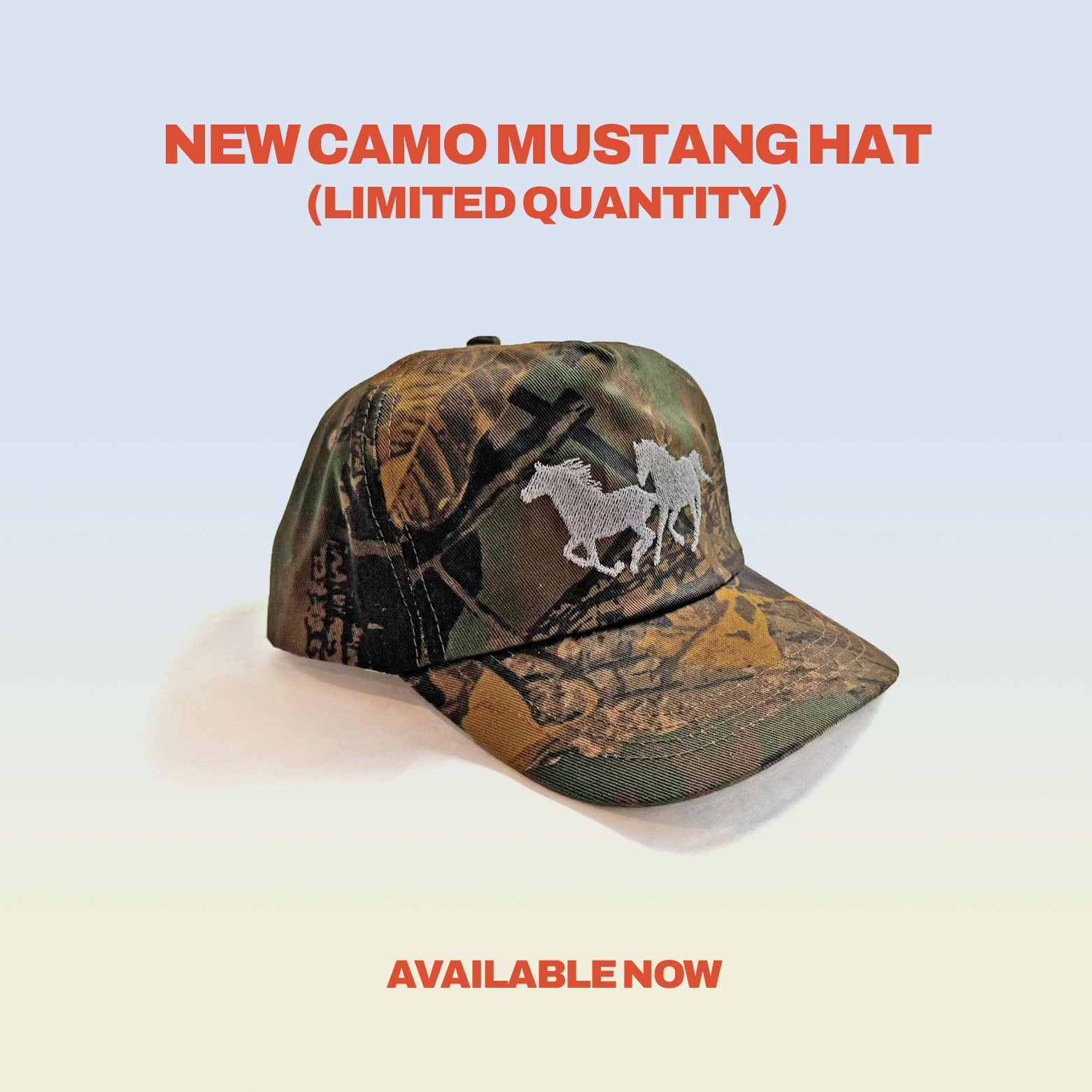 barking irons slider image